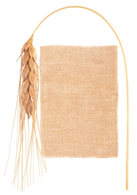 Sackcloth material and ear of wheat