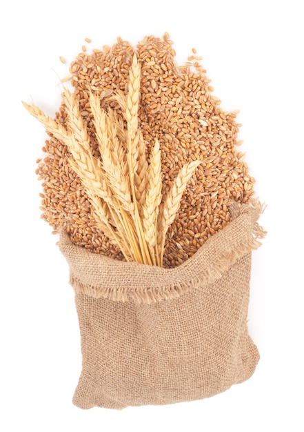 Sacks of wheat grains