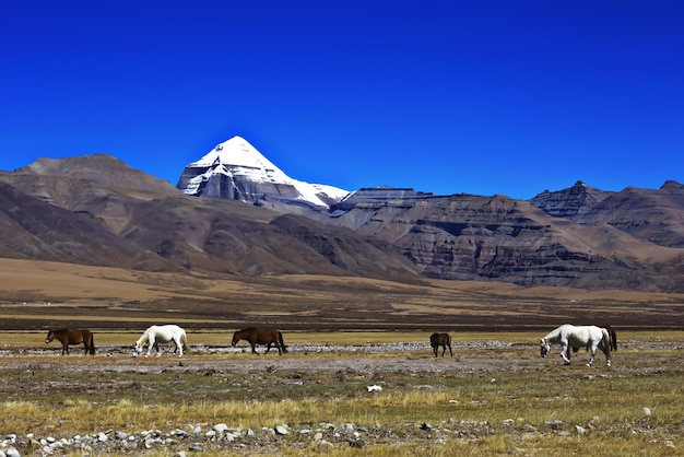 Sacred Mountain Kailas