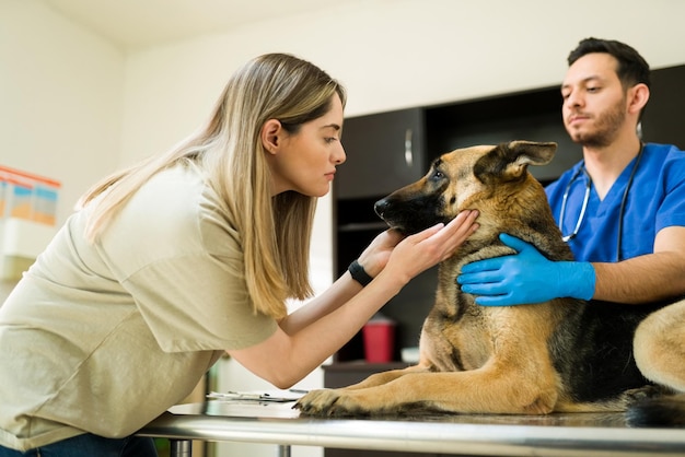 Sad caucasian woman petting her dog and saying goodbye to him at the veterinarian. Hispanic professional vet ready to put to sleep an aging german shepherd