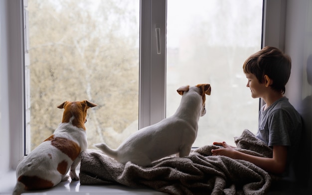 Photo sad little boy and dogs look out the window