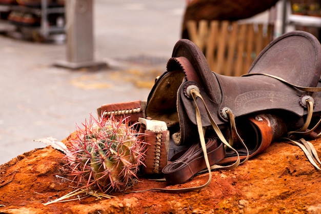 Photo saddle and cactus