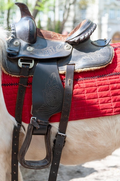 Saddle with stirrups on a back of a horse