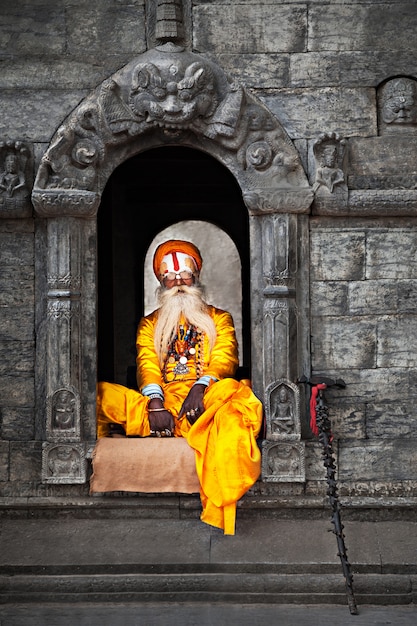 Sadhu bij de Pashupatinath-tempel