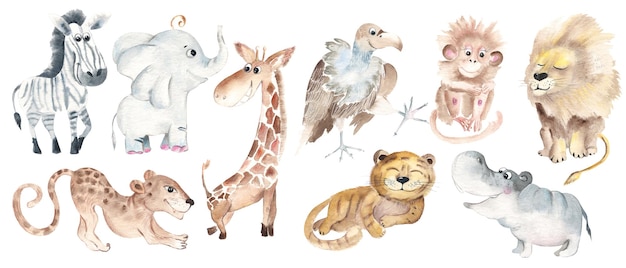 Safari dieren voor kinderen grote set schattige Afrikaanse dieren geïsoleerd op witte achtergrond aquarel hand