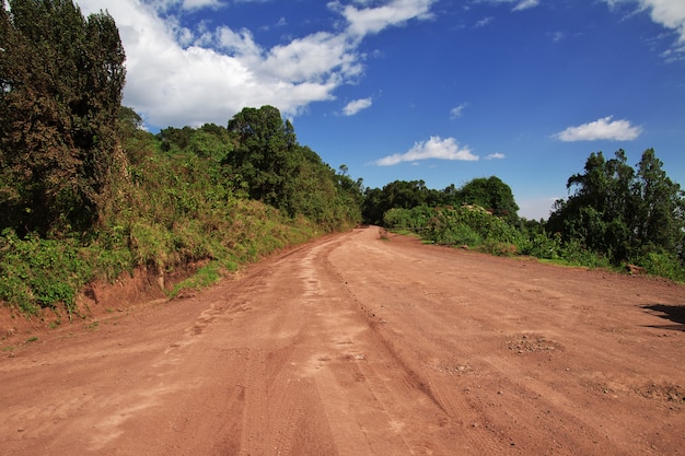 Safari in Kenia and Tanzania