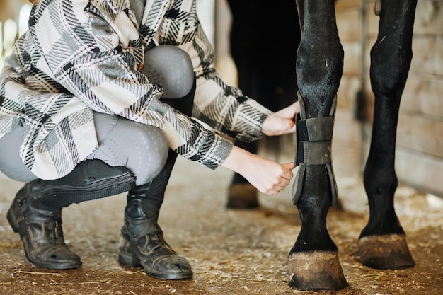 Safety Gear for Horses