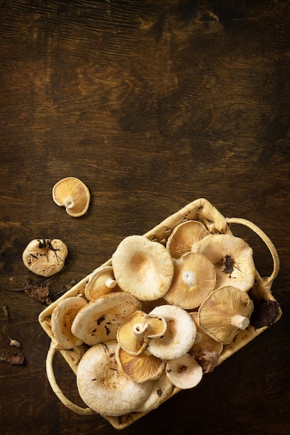 Saffraan melkdop Oogst van champignons op een rustieke tafel Bovenaanzicht plat lag