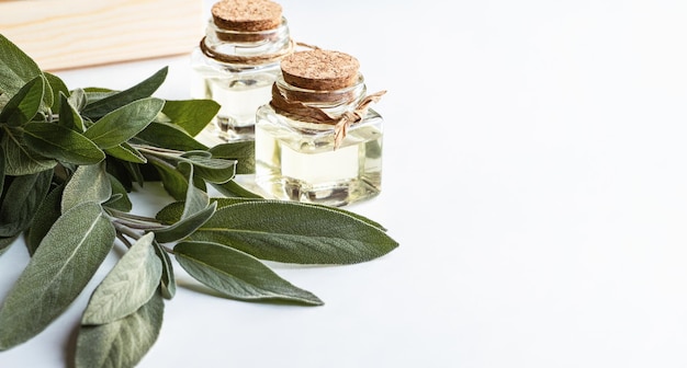 Sage essential oil in bottles green sage leaf on white background with copy space