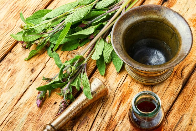 Sage leaves or salvia on rustic wooden table.Healing herbs