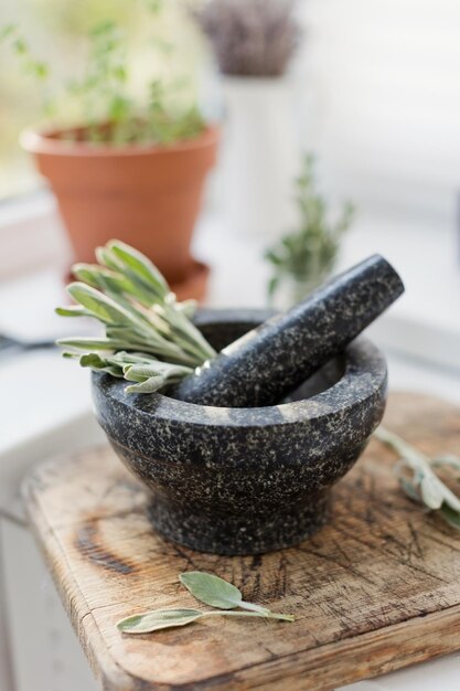 Photo sage in mortal with pestle kitchen