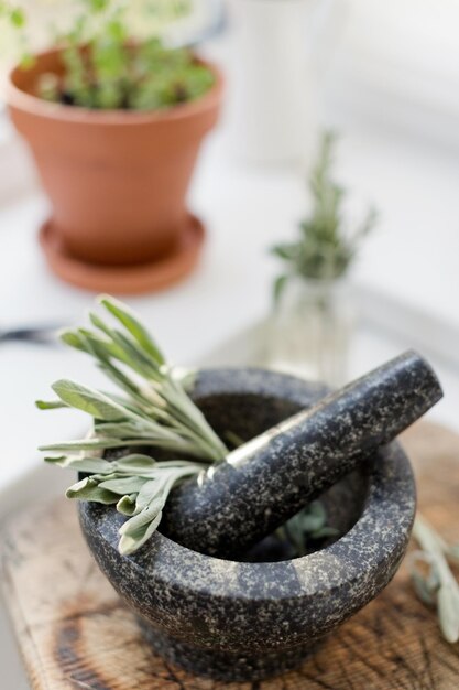 Sage in mortal with pestle kitchen