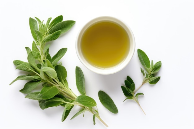 Sage thee Verse salvia bladeren in een theekop op witte achtergrond Kruidenthee Alternatieve geneeskunde Creatieve lay-out Design