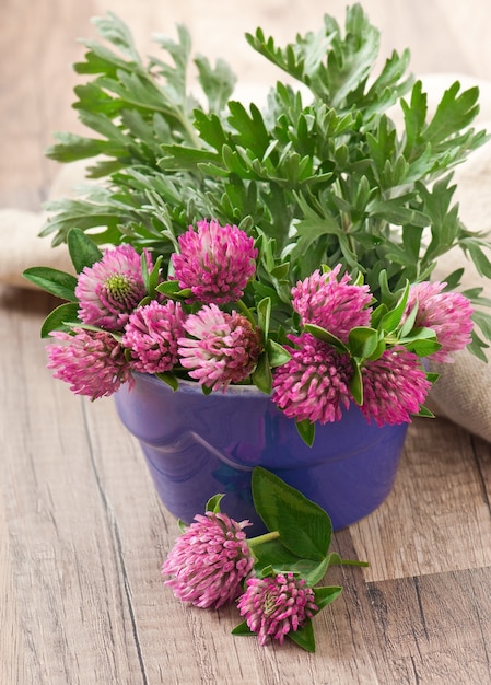 sagebrush and clover in a flowerpot