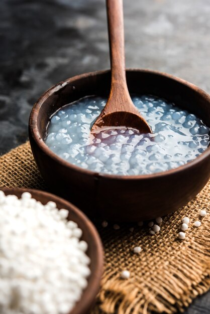 Sago of Sabudana pap Recept voor baby's en peuters, geserveerd in een kom met lepel, selectieve focus