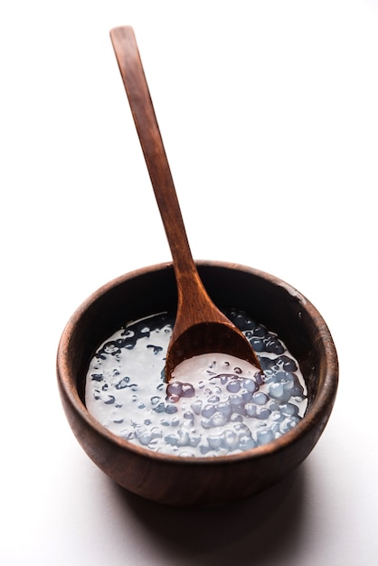 Sago or Sabudana Porridge Recipe for Babies and Toddlers, served in a bowl with spoon, selective focus