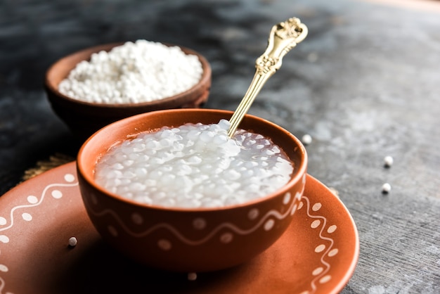 Sago or sabudana porridge recipe for babies and toddlers, served in a bowl with spoon, selective focus