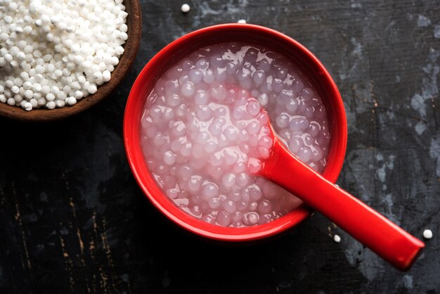 Sago or Sabudana Porridge Recipe for Babies and Toddlers, served in a bowl with spoon, selective focus