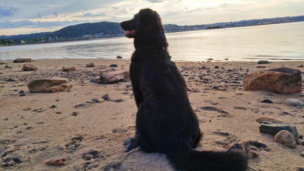 Foto fiordo di saguenay