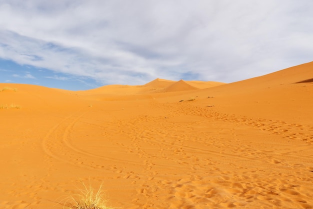 Sahara Desert Morocco