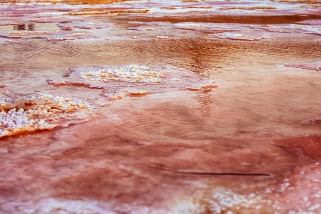 Sahara desert salt lake tunisia salt closeup in the salt desert