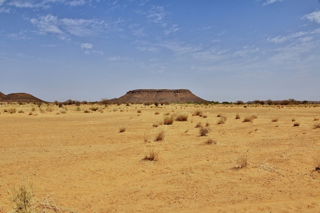 Sahara desert of Sudan