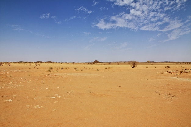 スーダンのサハラ砂漠