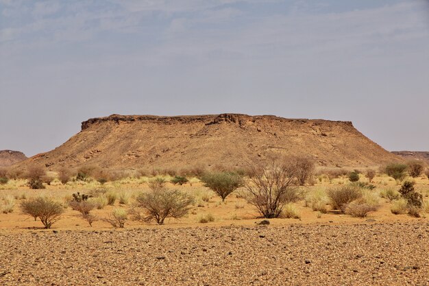 Sahara desert of Sudan