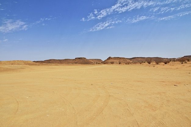 Sahara desert of Sudan