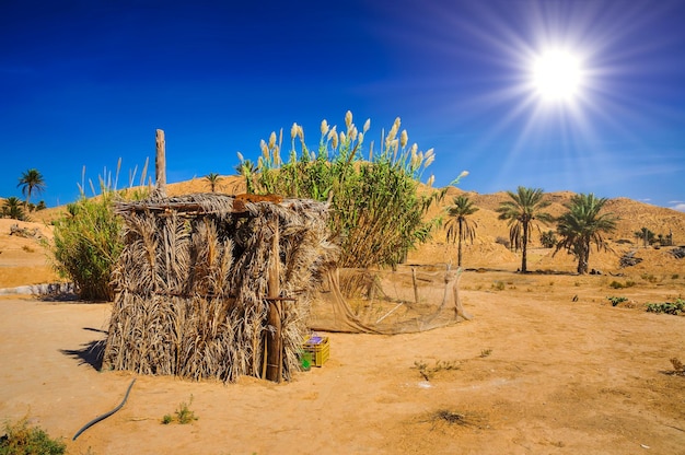 In Sahara desert on a sunny day Tunisia North Africa