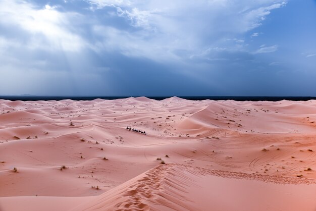 Sahara woestijn in marrakech, marokko