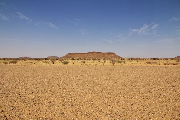 Sahara woestijn van Sudan