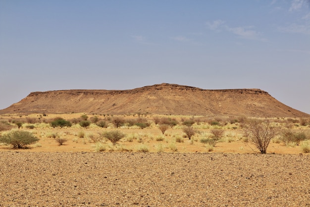 Sahara woestijn van sudan