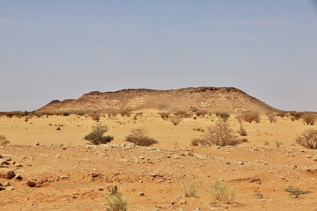 Sahara woestijn van Sudan