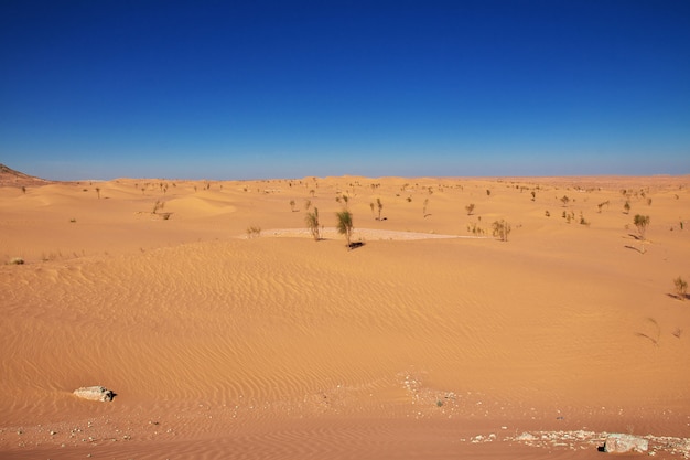 Saharawoestijn in het hart van Afrika