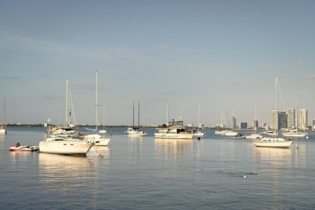 Sail boats at moorage in sea of miami usa