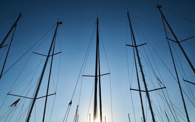 Sailboat poles at marina