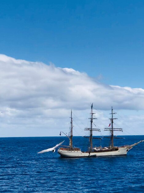 Sailboat sailing in sea against blue sky