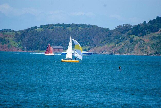 Sailboat sailing on sea against sky