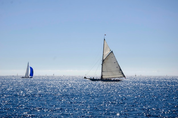 sailboat in sea against clear sky