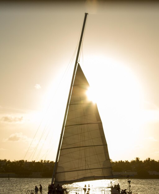 Sailboat in sea at sunset