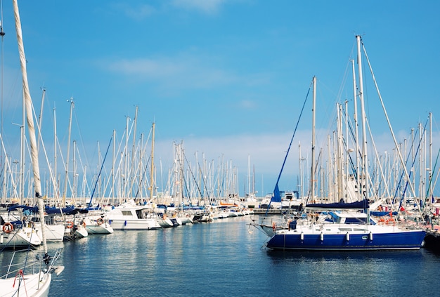 Sailboats in harbor