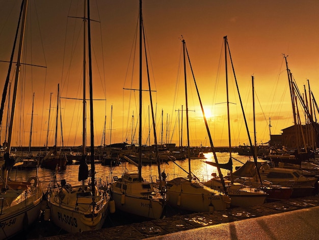 Sailboats in marina at sunset