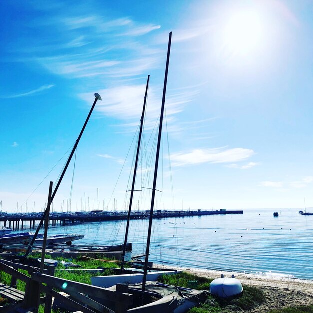 Sailboats in marina