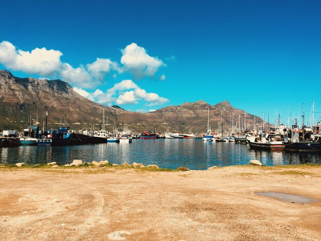 Sailboats moored in harbor against blue sky