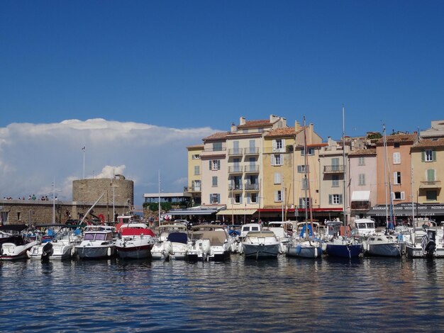 Sailboats moored in harbor against buildings in city