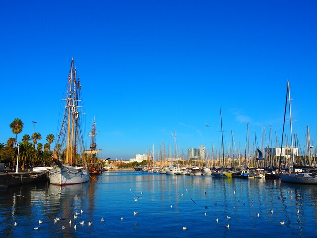 Sailboats moored at harbor against clear blue sky