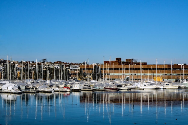 Sailboats moored at harbor against clear blue sky