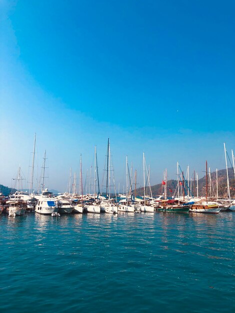 Sailboats moored in harbor against clear blue sky