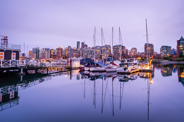 Sailboats moored in harbor against sky in city